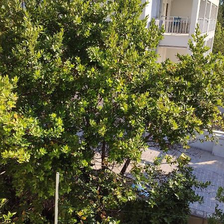 Apartments Ivo Makarska Exterior photo